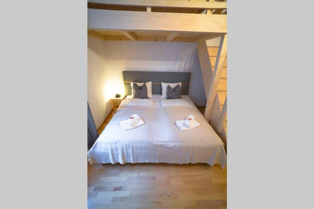 Cosy And Spacious Apartment In The Heart Of إنسبروك المظهر الخارجي الصورة