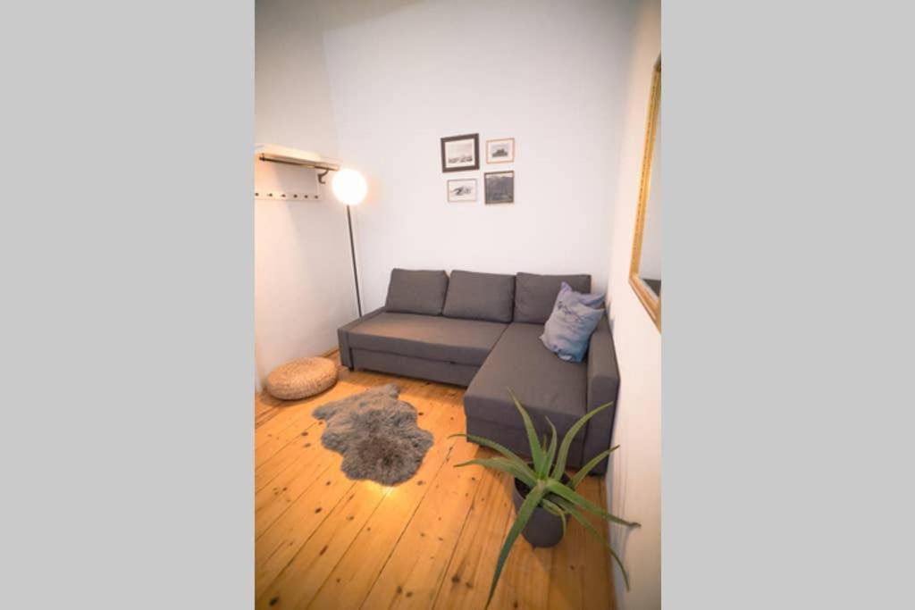 Cosy And Spacious Apartment In The Heart Of إنسبروك المظهر الخارجي الصورة